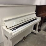 klaverid, klaverite müük, kawai